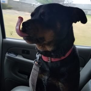 Meet your Posher, Ty